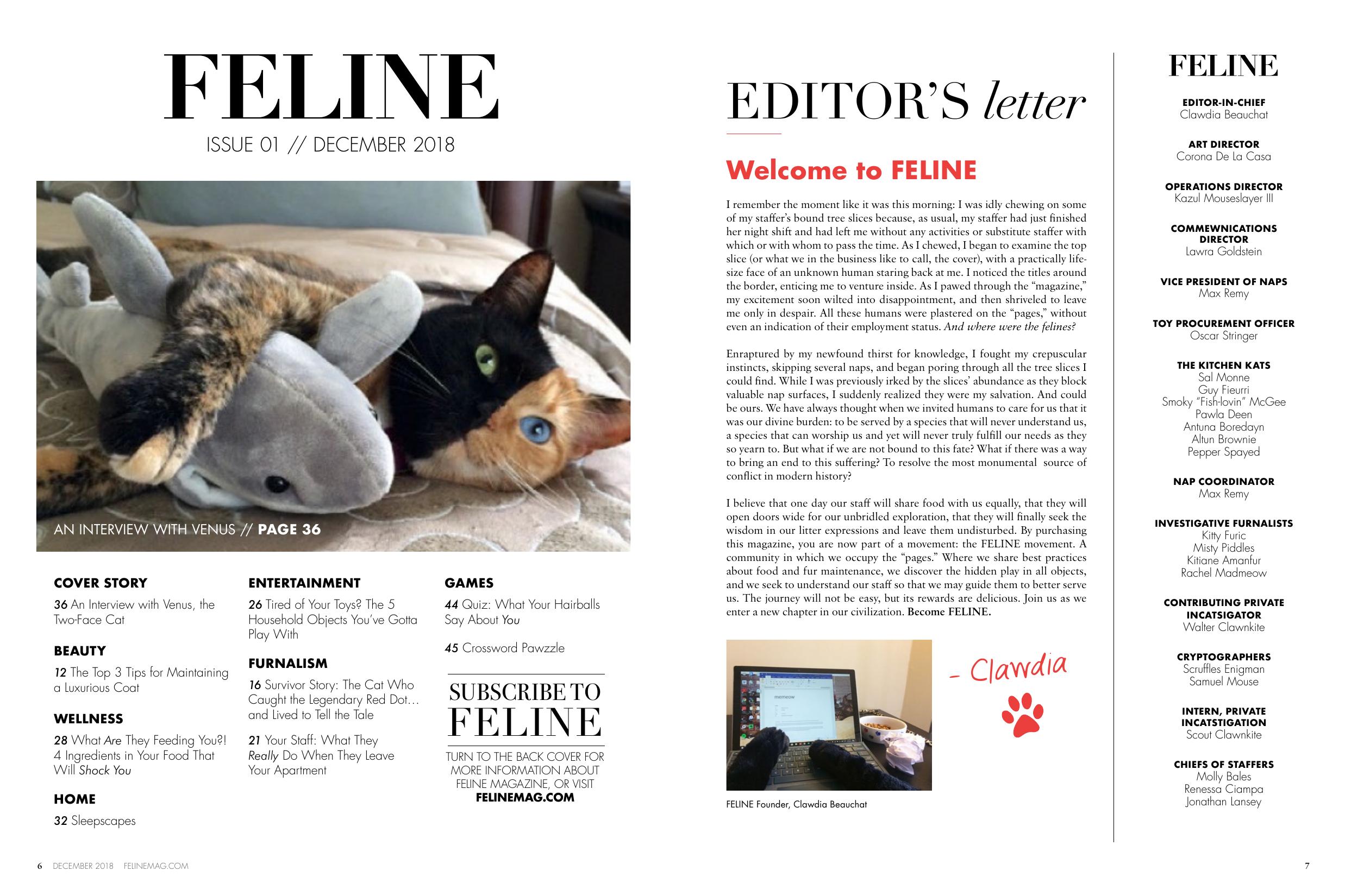 Page 5 of Issue 1