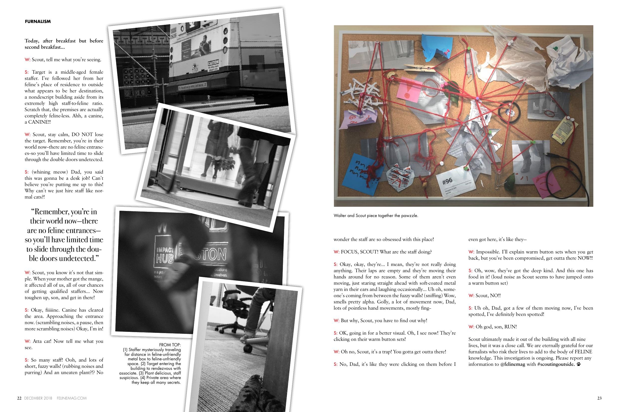Page 13 of Issue 1
