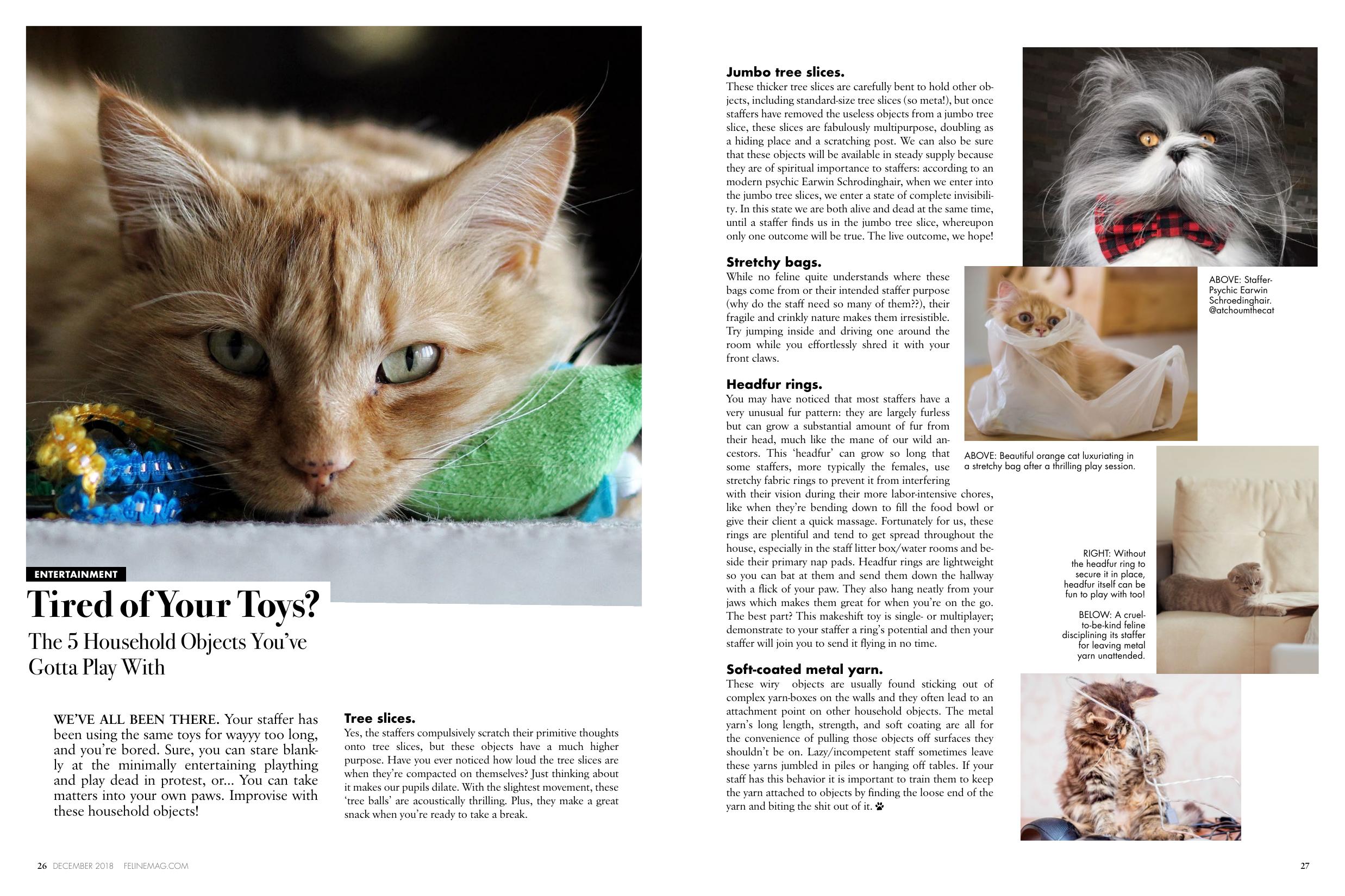 Page 15 of Issue 1