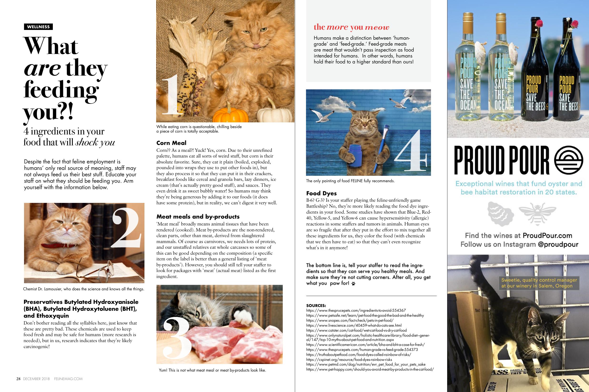 Page 16 of Issue 1