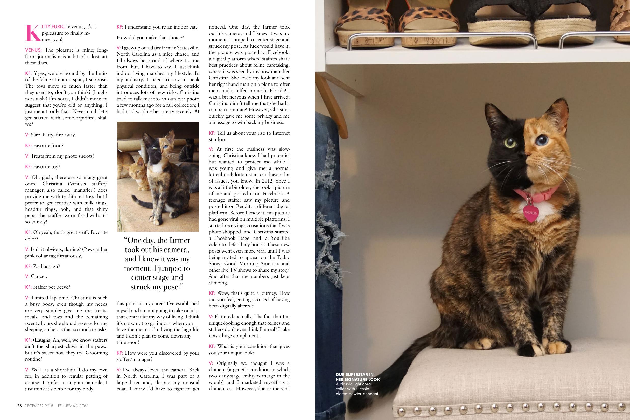 Page 21 of Issue 1